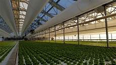 Greenhouse Cooling Systems