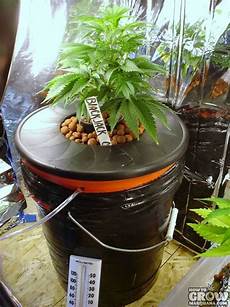 Hydroponic Chiller