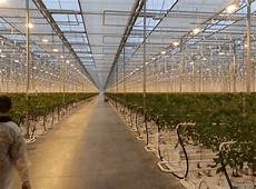 Cooling Systems