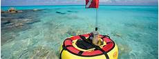 Marine Chiller
