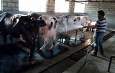 Milk Cooling Equipments