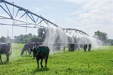 Milk Cooling System