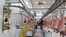 Slaughterhouse Cooling Equipment