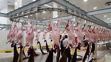 Slaughterhouse Cooling Equipment