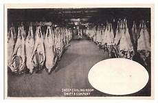Slaughterhouse Cooling Equipment