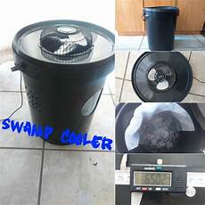 Swamp Chiller
